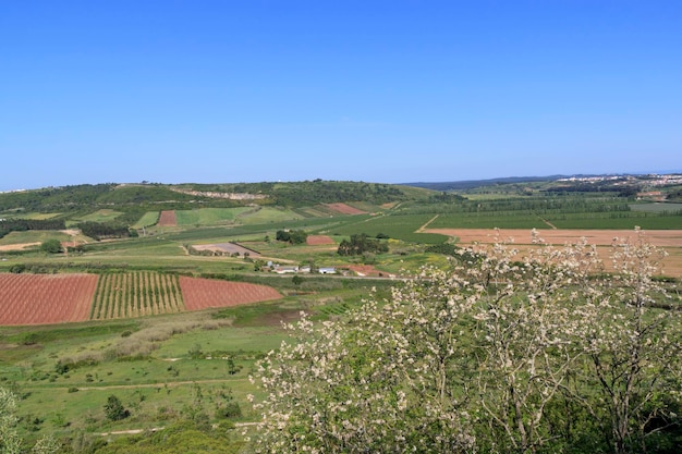 Foto vista panorámica del valle desde el muro de la fortaleza de obidos portugal campos arados y árboles pueblo portugués día soleado de verano