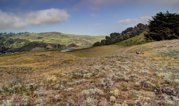 Vista panorámica del valle del río ruso contra el cielo