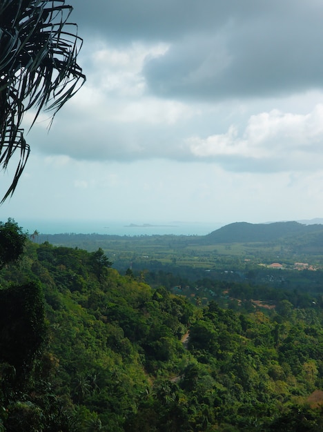 Foto vista panorámica del valle de la selva en una isla en el océano.