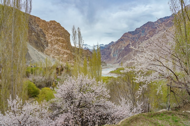 Una vista panorámica del valle de Turtuk y el río Shyok.