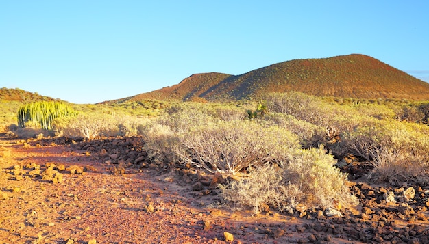 Foto vista panorámica de la zona desértica de la isla de tenerife, canarias