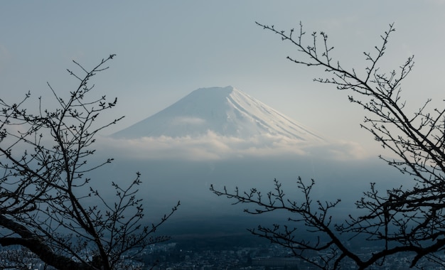 vista para a montanha fuji no ramo de quadro tirar foto