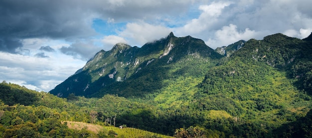 Foto vista para a montanha verde em chiang dao