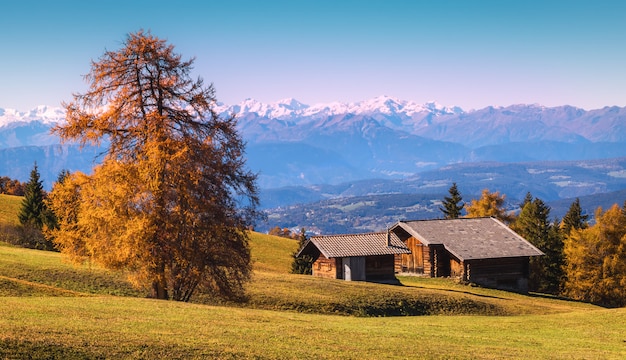 Vista para as montanhas alpinas e casas de madeira