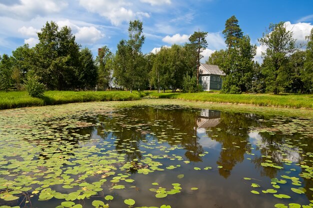 Foto vista para o lago