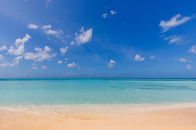 Vista para o mar da praia tropical com céu ensolarado Design do site da praia paradisíaca de verão Costa tropical