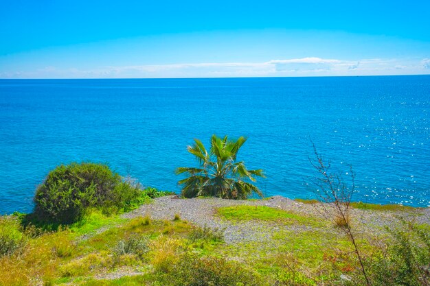 Vista para o mar da propriedade