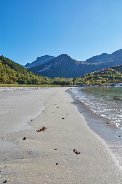 Vista para o mar e o oceano das ondas da praia lavando na praia pública vazia e relaxante com fundo de floresta e montanhas na Noruega Seascape com céu azul e espaço de cópia de água ártica e polar calma