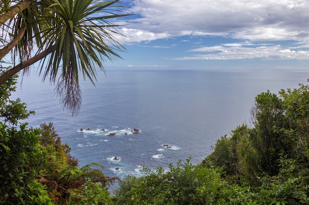 Vista para o mar em um promontório na Ilha do Sul da Nova Zelândia