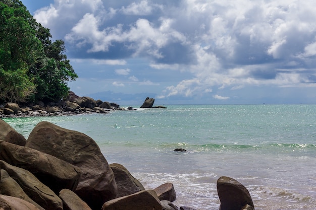 Foto vista para o mar, pedra na praia e arvorezinha