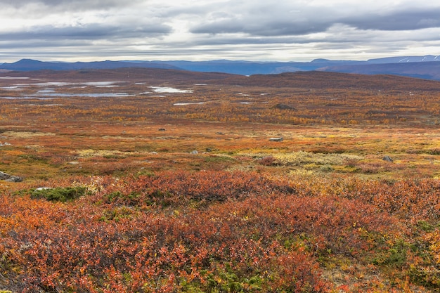 Vista para o parque nacional sarek no outono, suécia