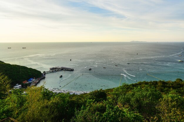 Vista para o pássaro da praia