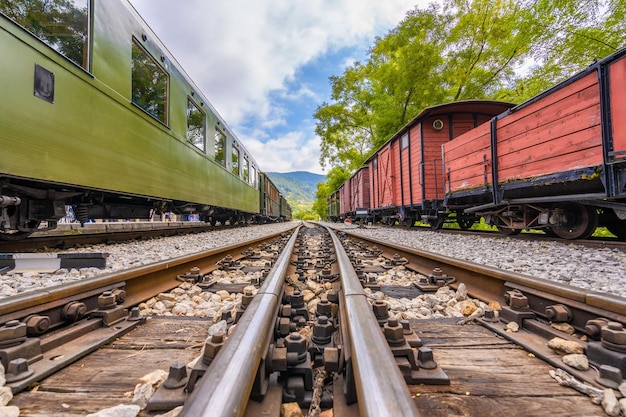 Vista para uma ferrovia entre árvores e trens