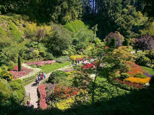 Vista del parque desde un ángulo alto