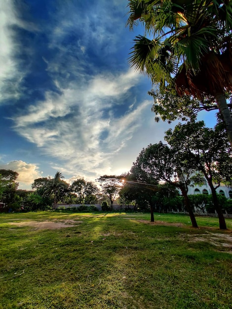 Una vista de un parque con árboles y un cielo con nubes.