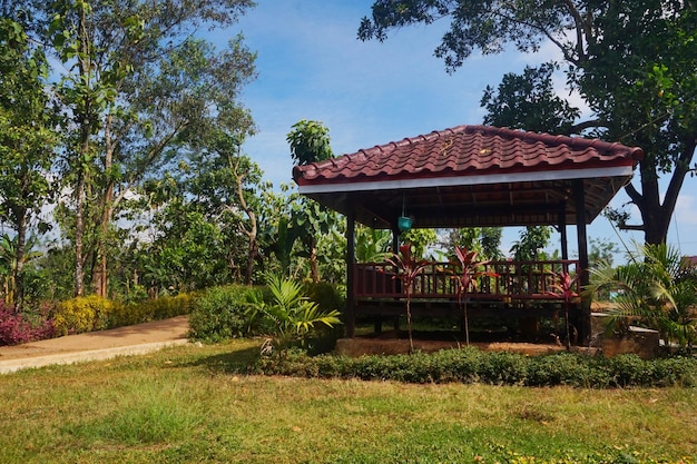 La vista del Parque Gasibu es perfecta para una relajante salida familiar.