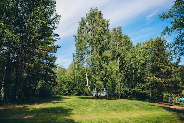 Vista del parque infantil junto al bosque. área de recreación