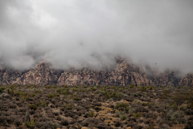 Vista del parque nacional del cañón rojo de la roca en día de niebla en Nevada, los EEUU
