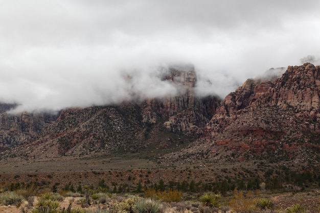 Vista del parque nacional del cañón rojo de la roca en día de niebla en Nevada, los EEUU