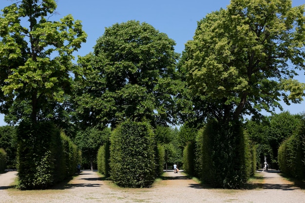 Vista del parque del palacio de Schoenbrunn.