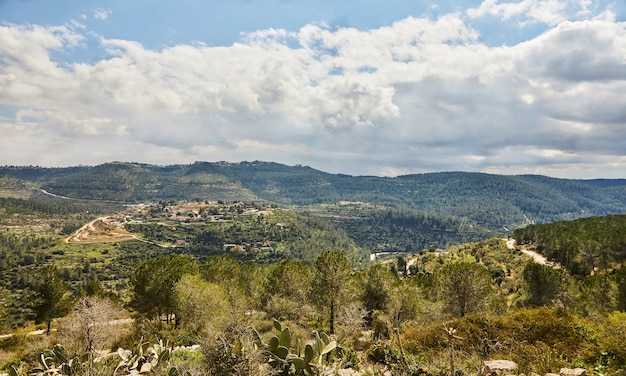 Vista desde el parque Sataf, al oeste de Jerusalén, a las montañas y al bosque.
