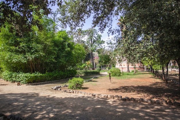 Vista del parque de Villa Giulia en Palermo