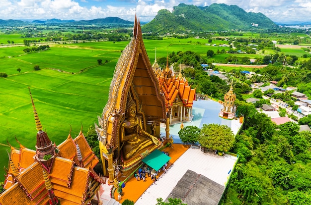 Una vista desde la parte superior de la pagoda, estatua dorada de Buda con campos de arroz y montaña