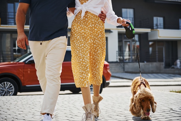 Vista de partículas de la encantadora pareja que tiene un paseo junto con el perro al aire libre cerca del coche.