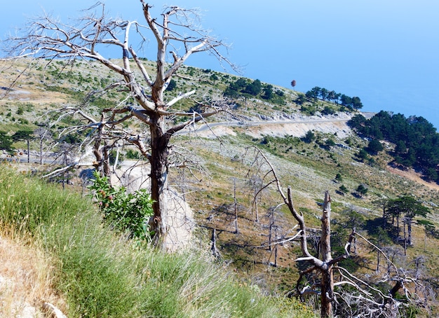 Vista del paso de Llogara de verano con árboles secos y cardos en pendiente y superficie de agua de mar (Albania)