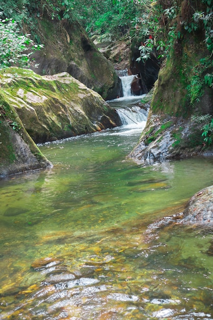 Vista de una pequeña cascada en un bosque tropical