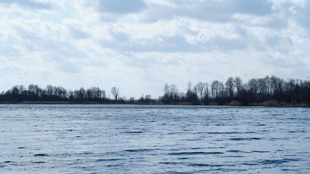 Vista desde el pequeño río hasta la orilla con árboles.