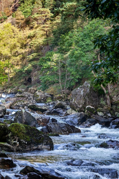 Vista de pequeños rápidos a lo largo del río Glaslyn en otoño