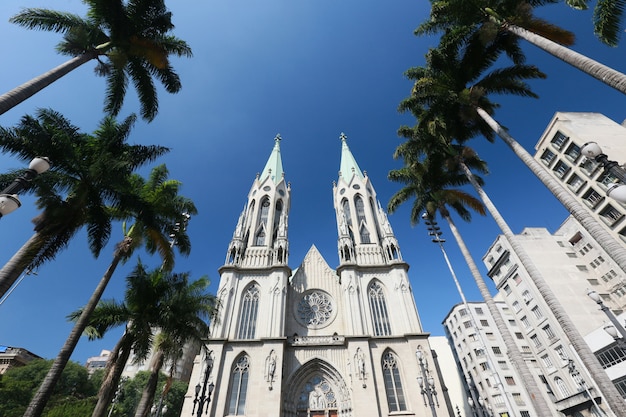 Vista en perspectiva de la catedral de sao paulo