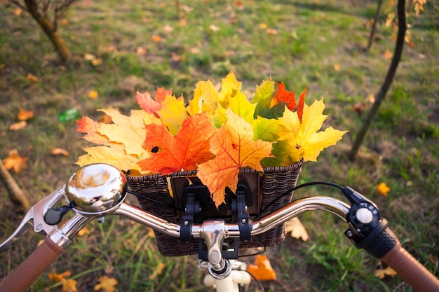 Vista en perspectiva de cerca de la cesta trenzada de bicicleta con fondo de otoño de ramo de hojas brillantes