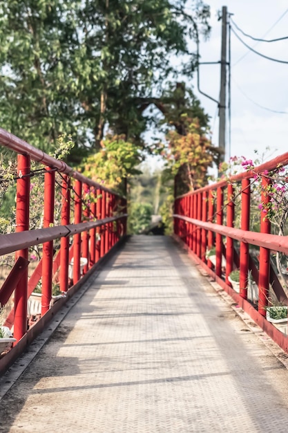 Vista en perspectiva del puente peatonal colgante de hierro rojo en el parque de madera del bosque verde Paisaje de la naturaleza sin fondo de personas Dirección que avanza el concepto de desarrollo futuro