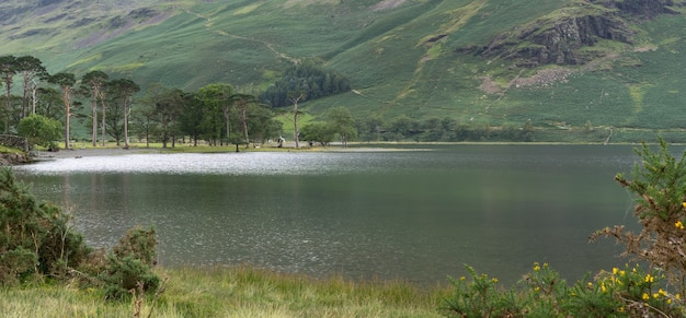 Vista de los pinos en Buttermere