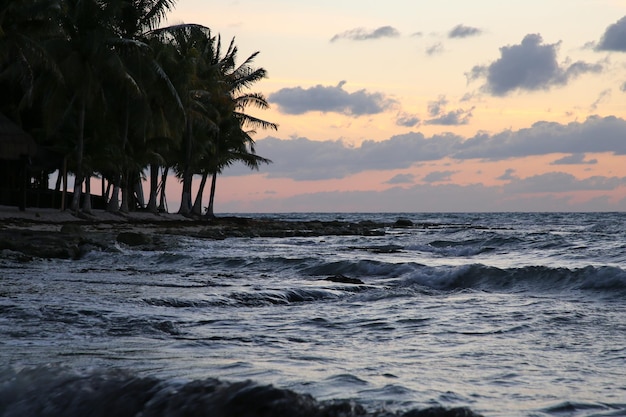 Vista pintoresca del mar y palmeras tropicales bajo el cielo iluminado por la puesta de sol