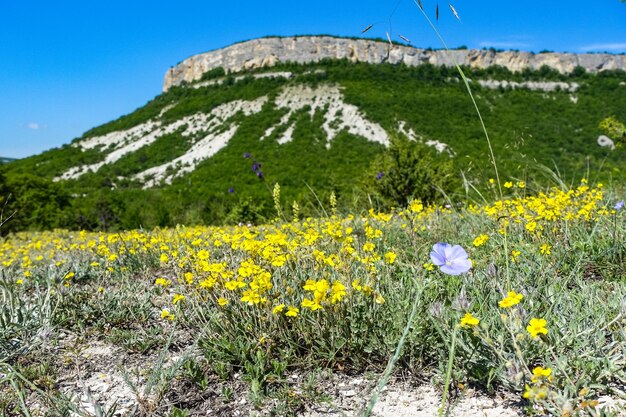 Vista de las pintorescas montañas de Crimea cerca de la ciudad cueva de TepeKermen Crimea Rusia