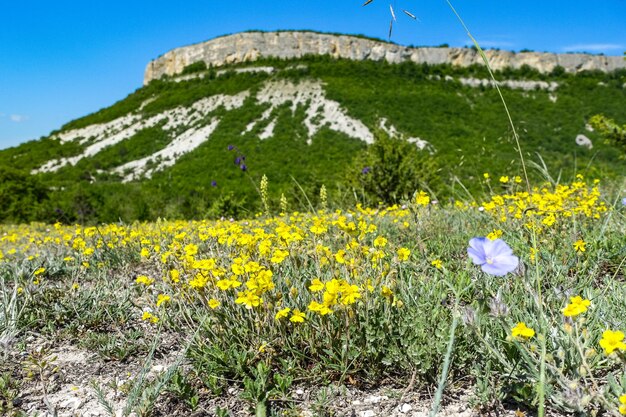 Vista de las pintorescas montañas de Crimea cerca de la ciudad cueva de TepeKermen Crimea Rusia