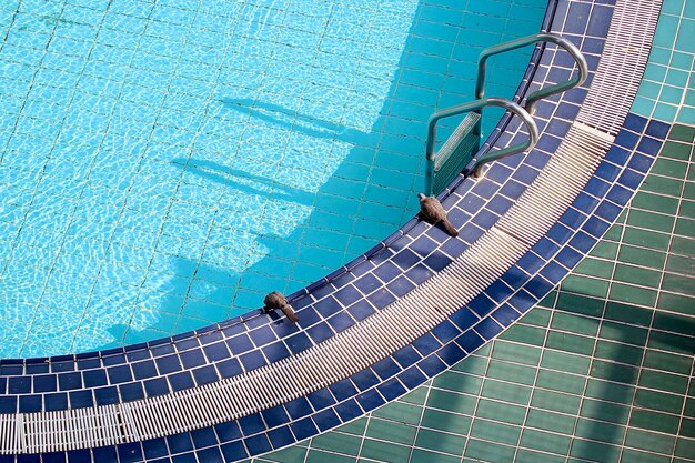 Vista de la piscina desde un ángulo alto