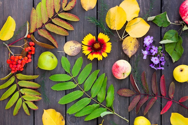 Vista plana laicos de hojas de otoño, bayas de serbal, frutas y flores sobre la mesa en el jardín
