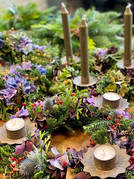 Foto vista de plantas y flores en ángulo alto