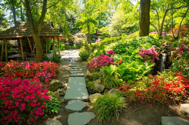 Foto vista de las plantas con flores en el jardín