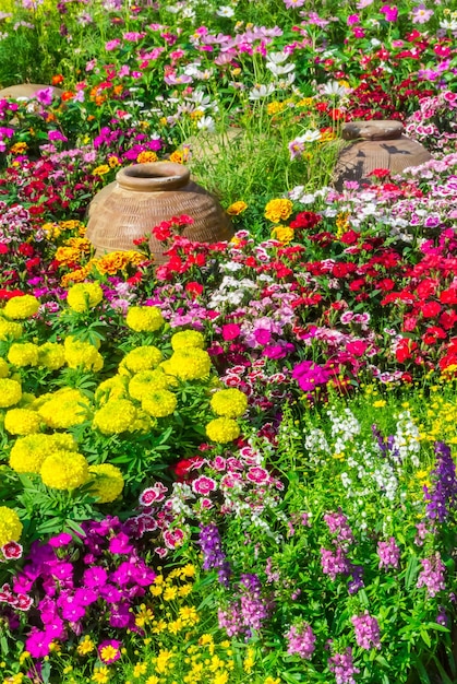 Vista de las plantas con flores