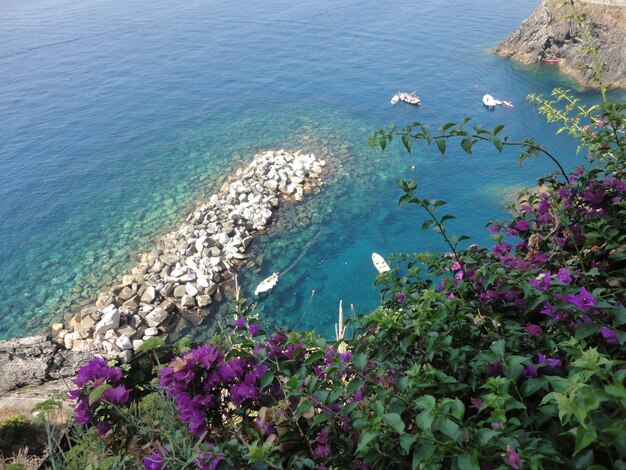 Foto vista de las plantas desde el mar desde un ángulo alto