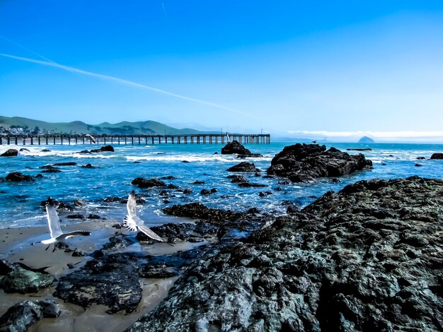 Foto vista de la playa contra el cielo azul