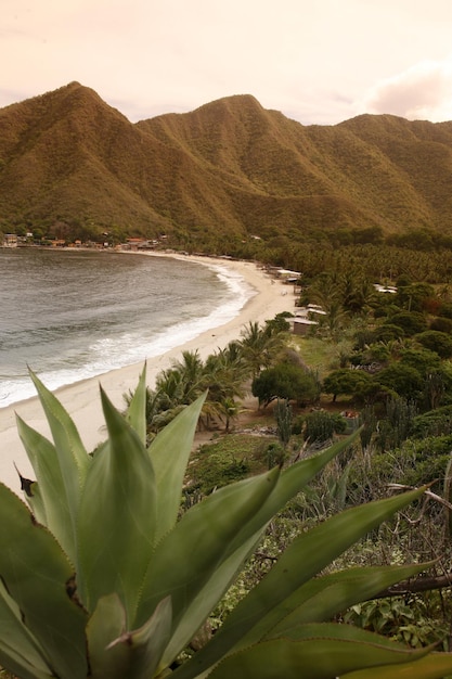 Foto vista de la playa contra el cielo