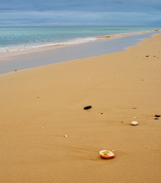 Vista de la playa en un día nublado