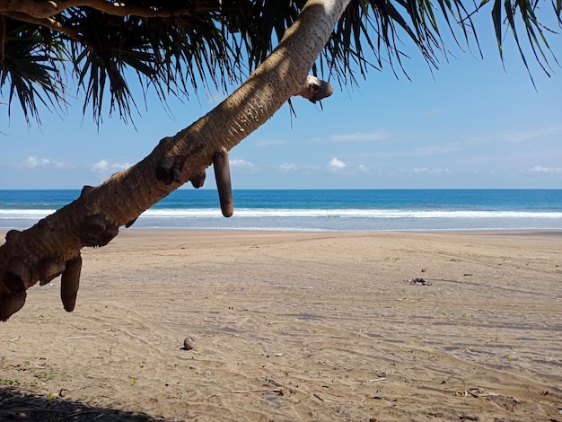 Foto vista de la playa de indonesia