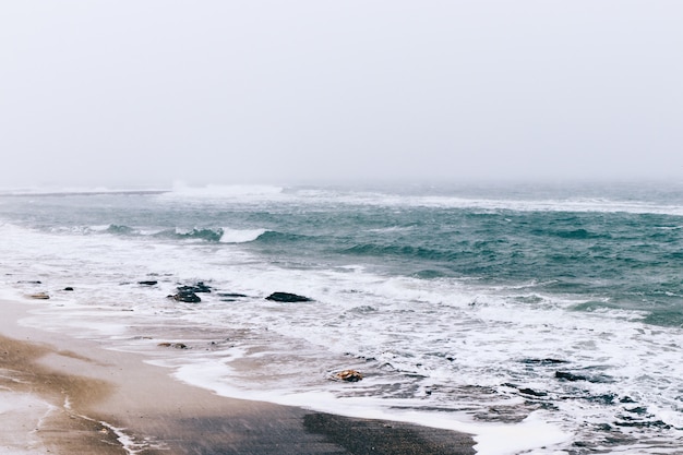 Vista de una playa de invierno y el mar durante una nevada y viento, paisaje nublado